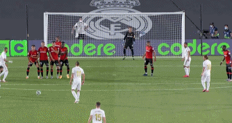 森林无同木 蓝月有同庆