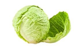 热门精选，吃货最爱！ - 斗鱼APP